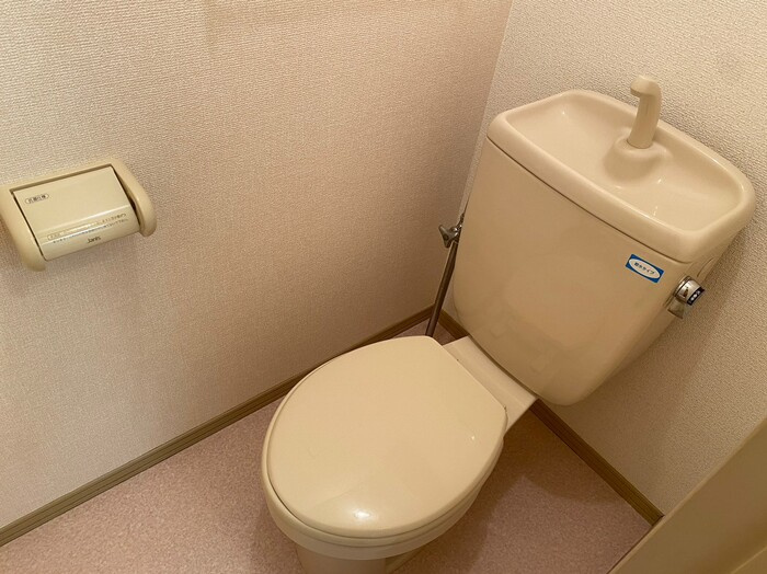 ロイヤルシャトー神中のトイレ