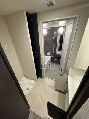 【洗面所】 | ブランズタワー大阪本町 | ブランズタワー大阪本町　洗面脱衣所