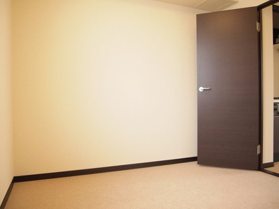 【その他】 | レオネクストサンシャイン岩室 | 洋室