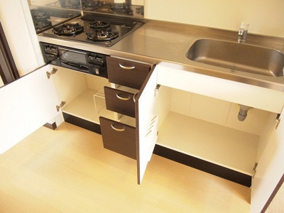 【その他】 | レオネクストサンシャイン岩室 | シンク