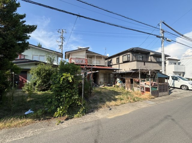 川合新田　土地の外観