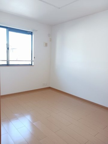 ルミナリエ　請石のその他