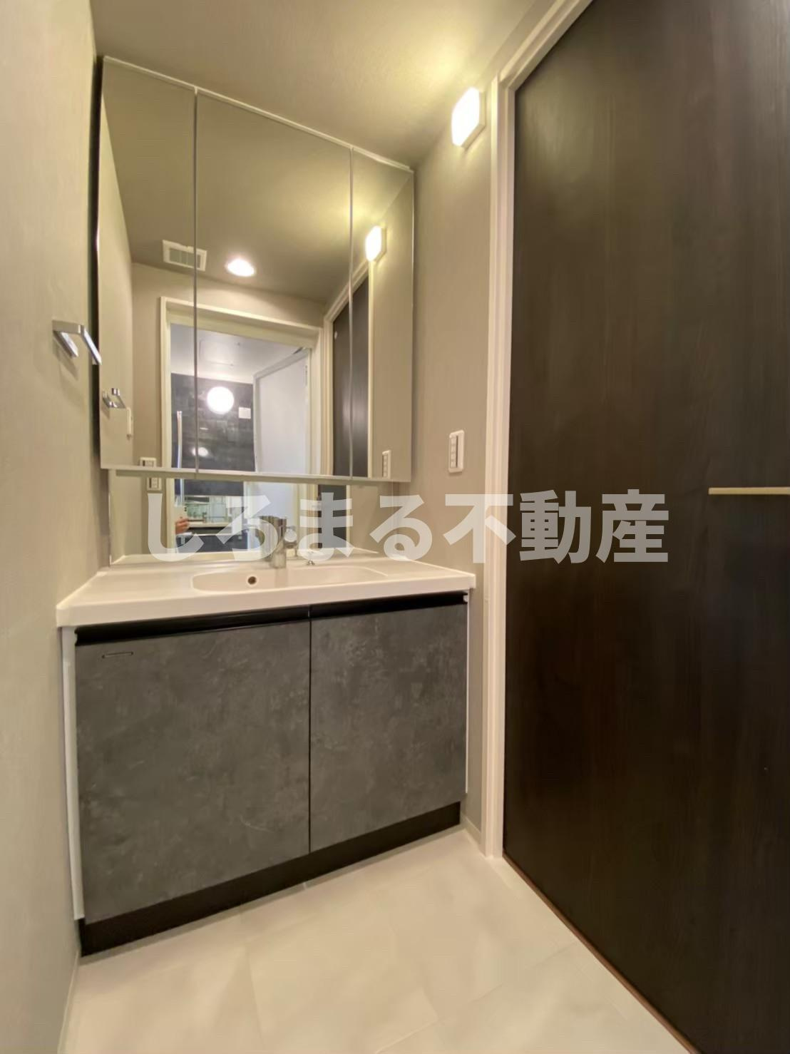 シーズンフラッツ阿波座の洗面所