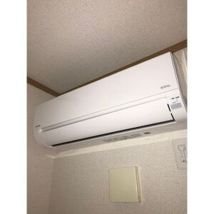 Y.S Juilletの設備