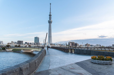 【周辺】 | アンジュ