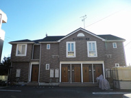 サンフラワー岩波の画像