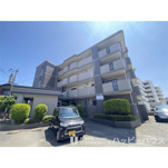 ディナスティⅤの画像