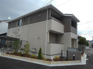 コモド・カーサの画像