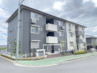 SOLARIE MIDONRINO(ソラリエ　ミドリノ)Ⅳの画像