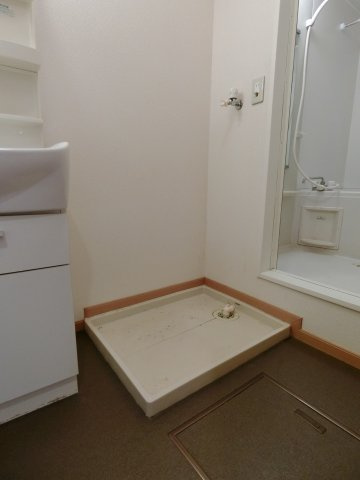 メゾンラフィネＡの洗面所|イメージ103号室の写真