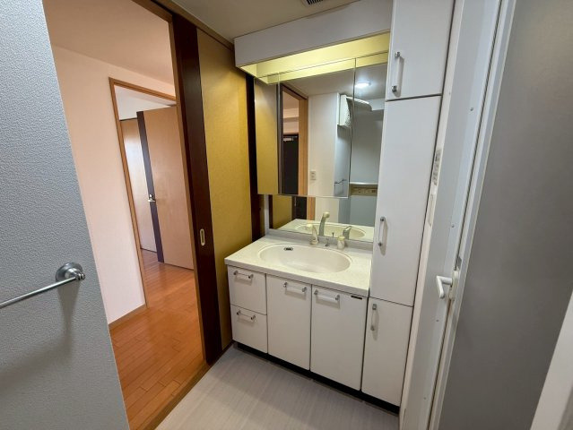 プレサンス名古屋城前❘名古屋市の賃貸ならMy賃貸の独立洗面台|プレサンス名古屋城前