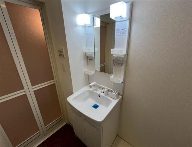 リヴシティ上野入谷グロースの洗面所