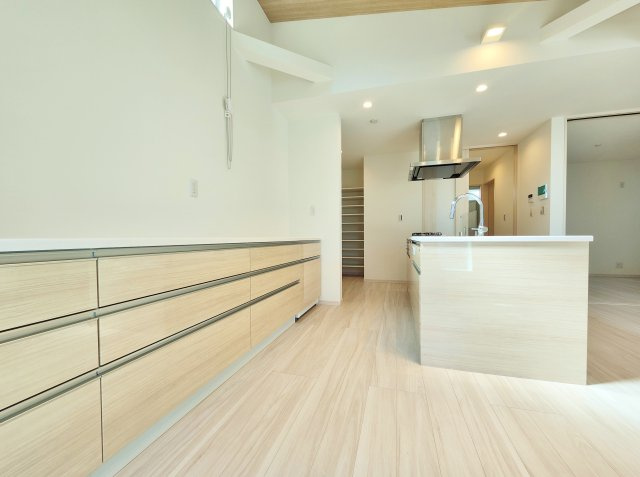 板橋区徳丸4丁目 限定1棟の完成予想図|ゆとりある洗面スペース
大きな洗面台は大きな鏡で身だしなみも整えやすく、朝の慌ただしい時間帯も快適です
収納も豊富です
(イラストは図面を基に起こしたもので実際のものとは多少異なる場合がございます)