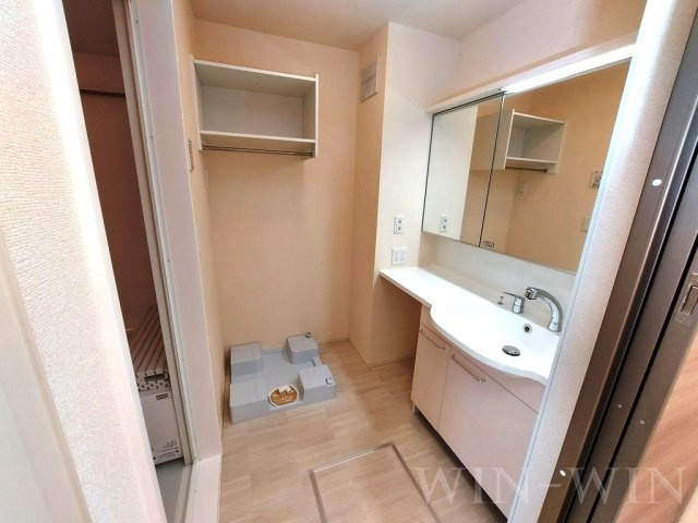 エレガンス三本木の洗面所