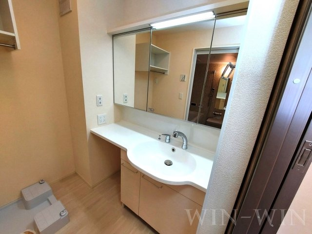 エレガンス三本木の洗面所