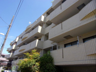 グローリア初穂大和(グローリアハツホヤマト)の画像