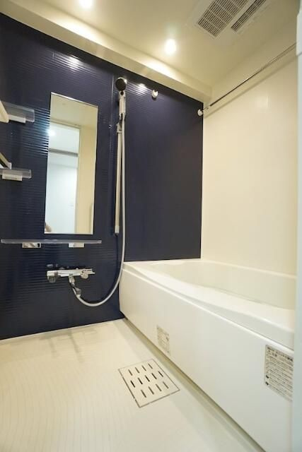 メインステージ浅草入谷Ⅱの浴室