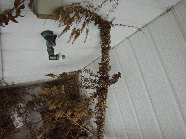 ビギン鳥羽の内装