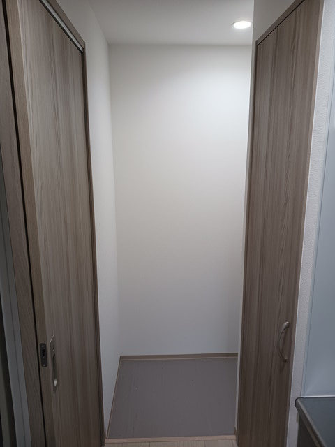 Pine ResidenceⅢ　の玄関|１２月０２日撮影