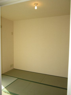 【その他】 | タウニィーイシヅ