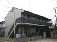 タウニィーイシヅの画像