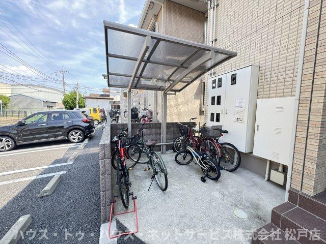 S・V・P・ﾅｲﾝのその他