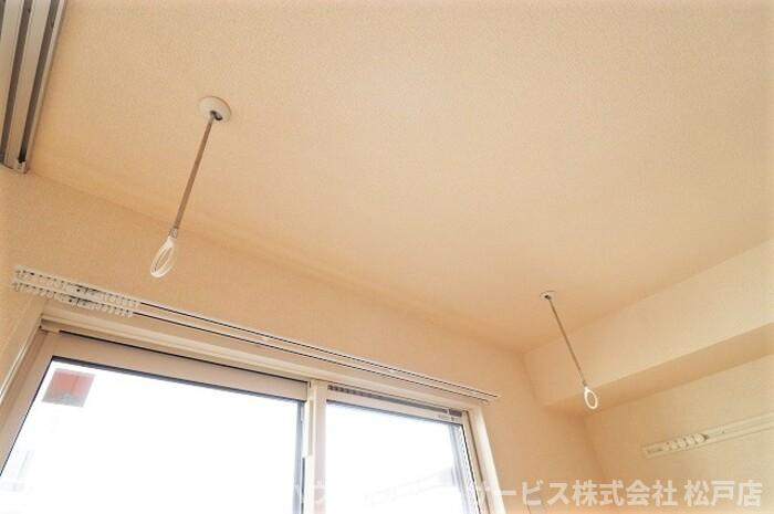 ボナールのその他