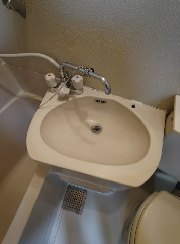 タカラマンションの洗面所