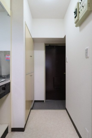 ビクセルお茶の水の玄関|　※別室参考写真です。