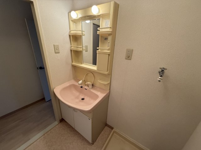 メゾン千里中央の独立洗面台