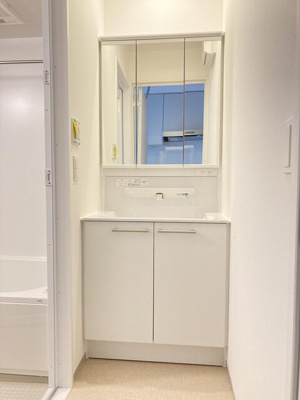 【洗面所】 | ルーチェヴィラ菊川 | 鏡裏も収納があり 