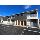 ラークスパーの画像