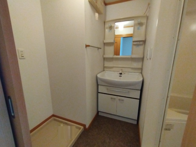 ウッドイン３番館の洗面所