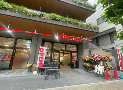 【周辺】 | ＴＲＡＤＩＳ森下