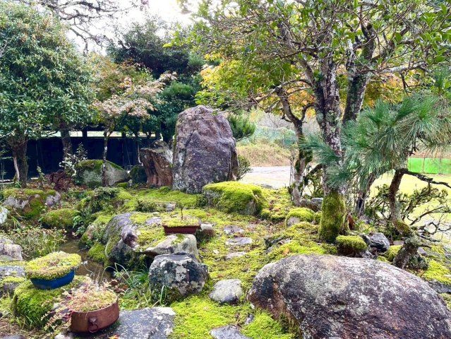 森尾　中古戸建　8DK+Sの庭