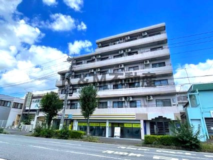 ジュネパレス柏第２９