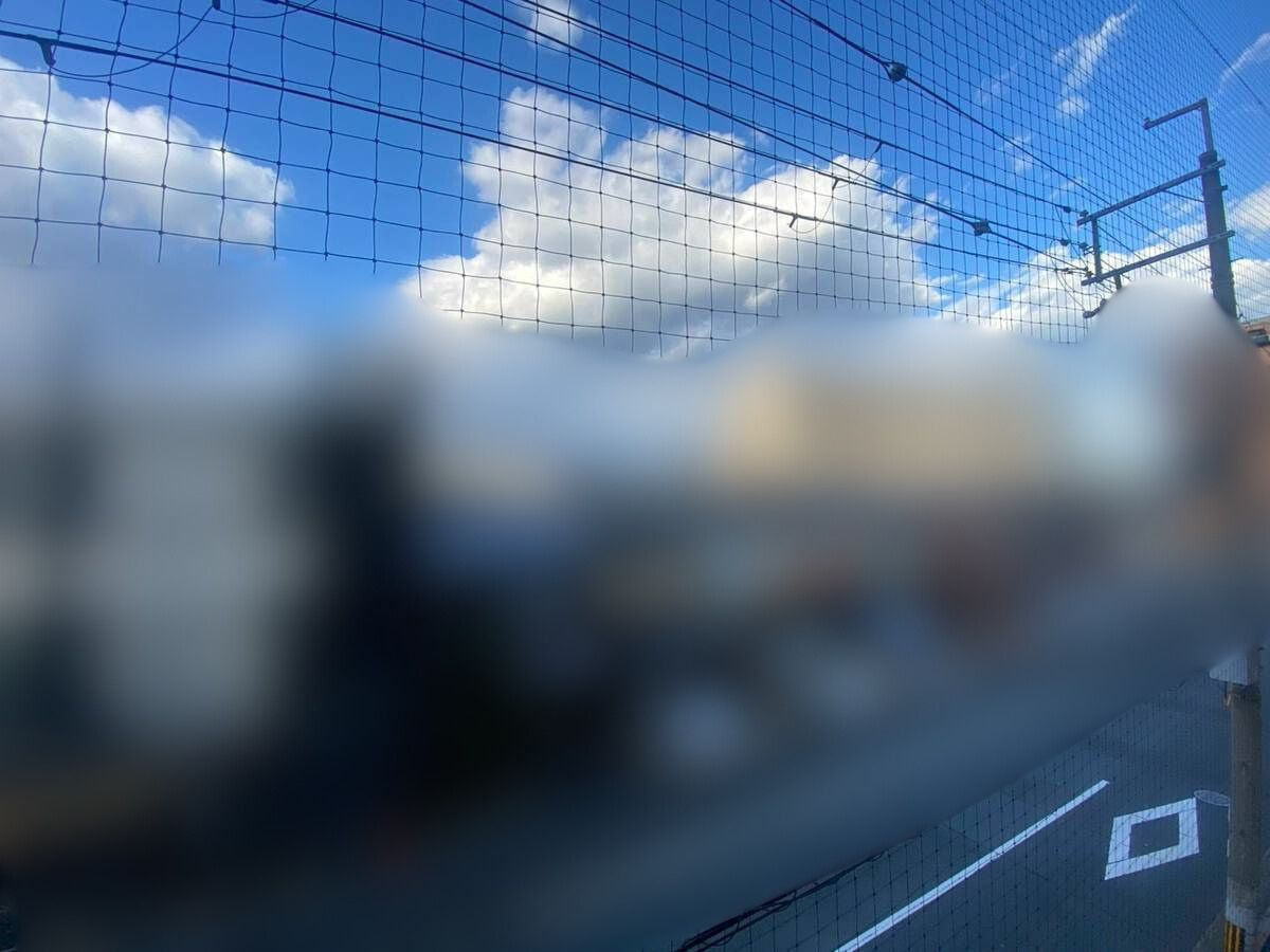 西京極ガーデンハイツの周辺|住戸からの眺望です。北向きの落ち着いた採光となります。