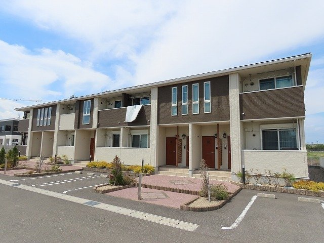 プラシード１１