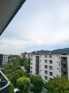 【展望】 | 平塚高村団地参五号棟 | 周辺の建物が低層で統一されているエリアの場合、圧迫感が少なく、視界が広く確保されています。