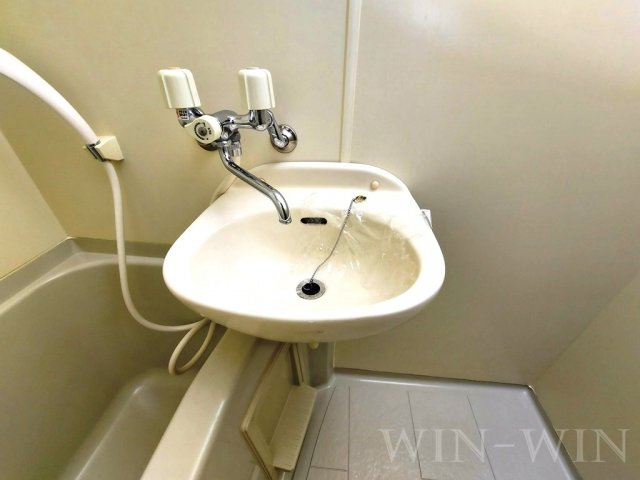 グランデージSuzuranの洗面所