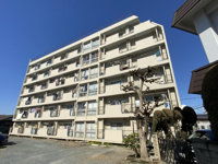 小藤田ビルの画像