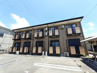 タウニーエルの画像