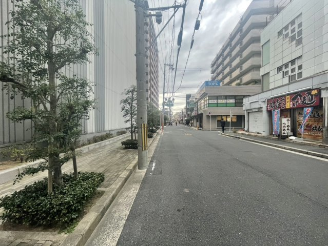 ロイヤルメドゥ香里園タワーの周辺