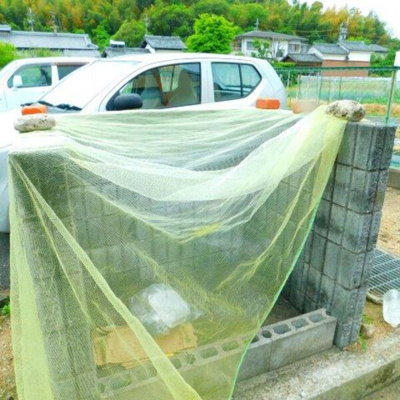 【その他】 | サニーヒルモリイ