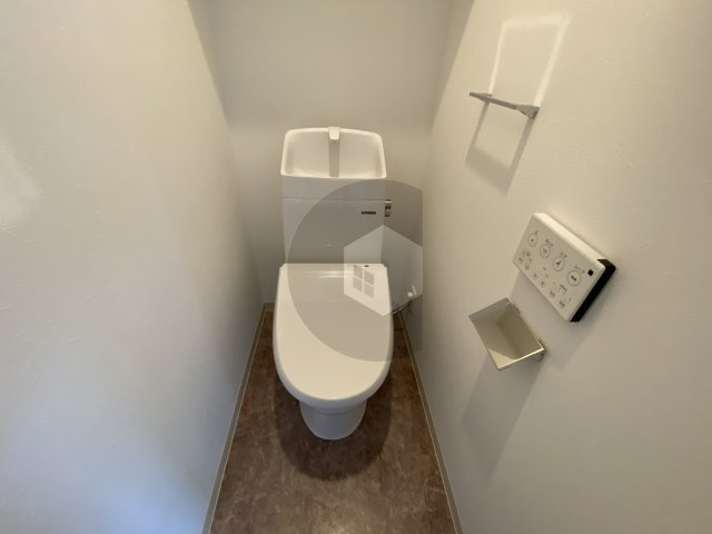 F asesia Boehmのトイレ