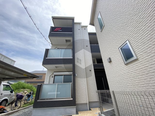 F asesia Boehmの外観