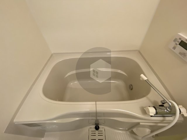 F asesia Boehmの浴室