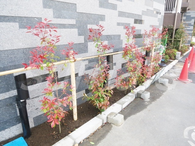 ＤＩＰＳ十条仲原ＥＡＳＴのその他|かわいい緑もあります☆