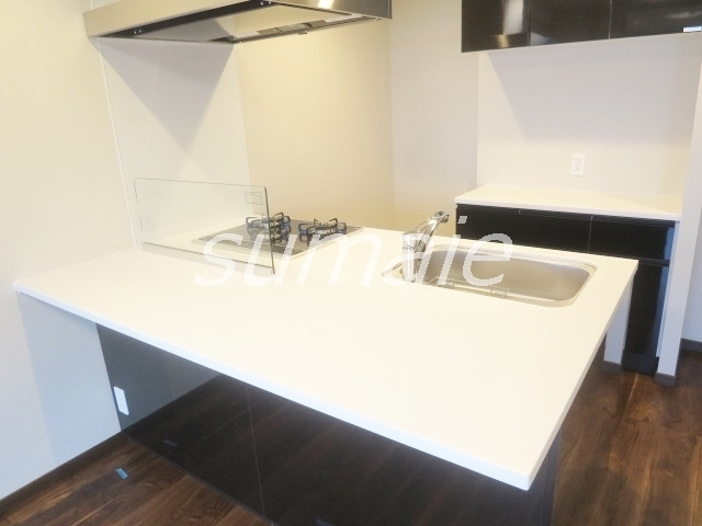 ＤＩＰＳ十条仲原ＥＡＳＴのキッチン|カウンターが広いキッチン！