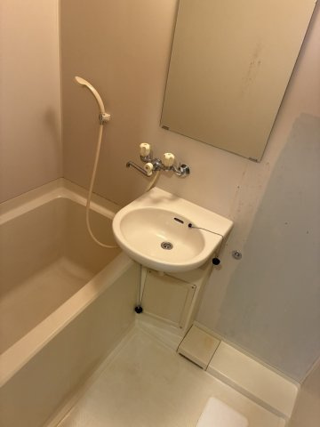 ヴィラ逢谷内の浴室